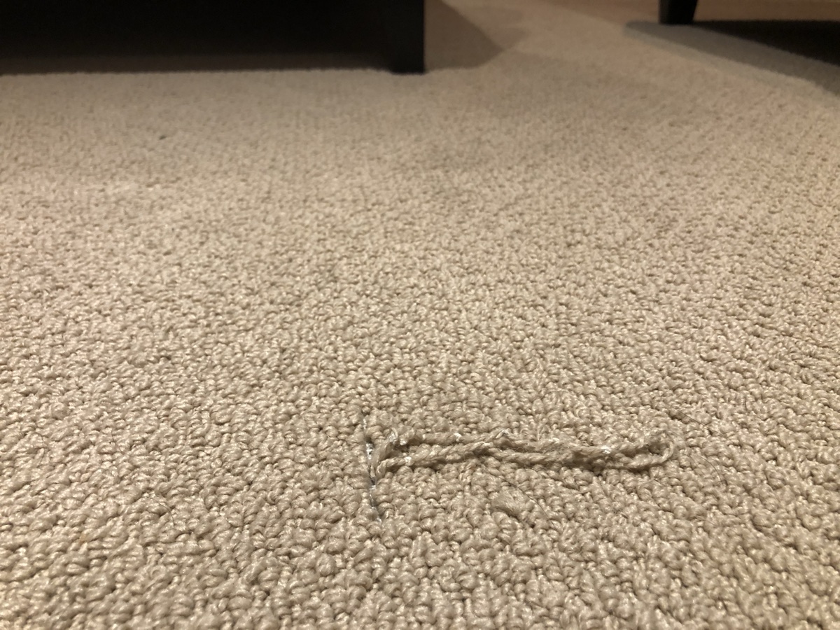 Victorious carpet repair project photograph