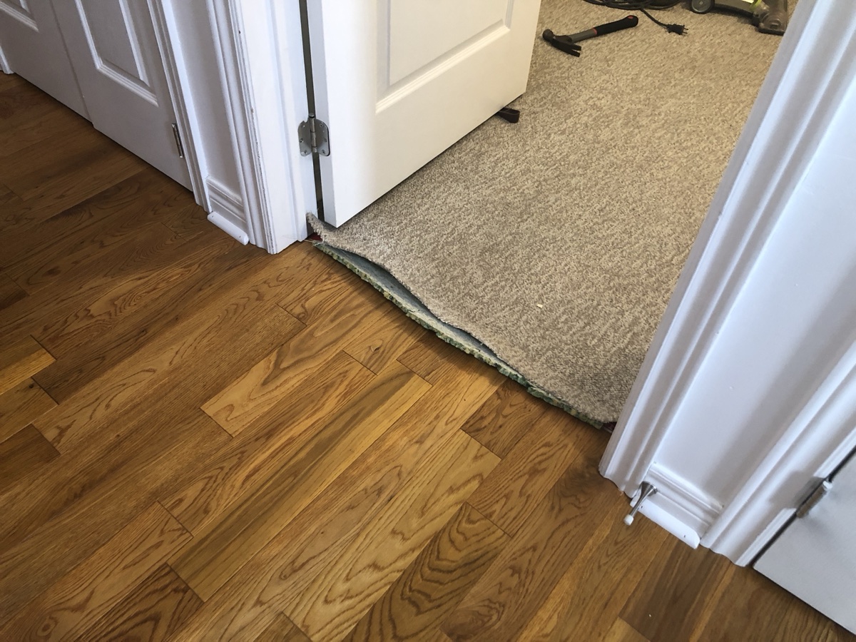 Victorious carpet repair project photograph