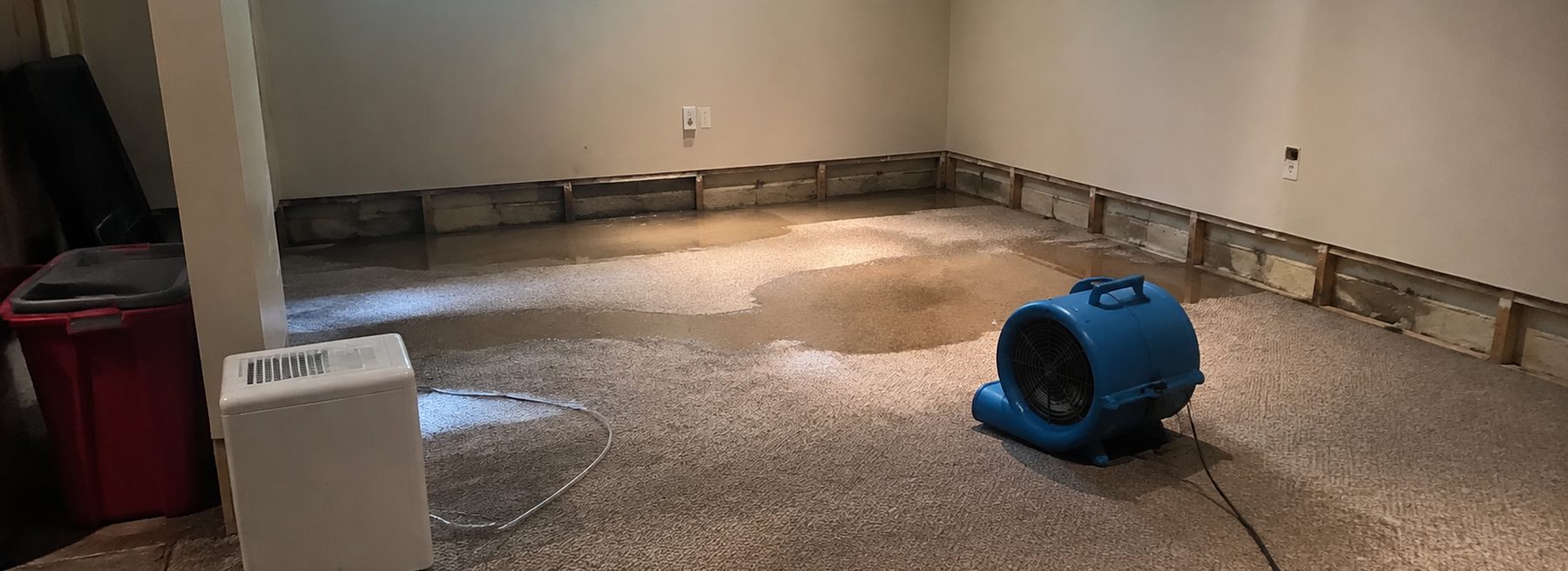Wall-to-wall carpet in a dry, cleared basement by Victorious Carpet and Flooring