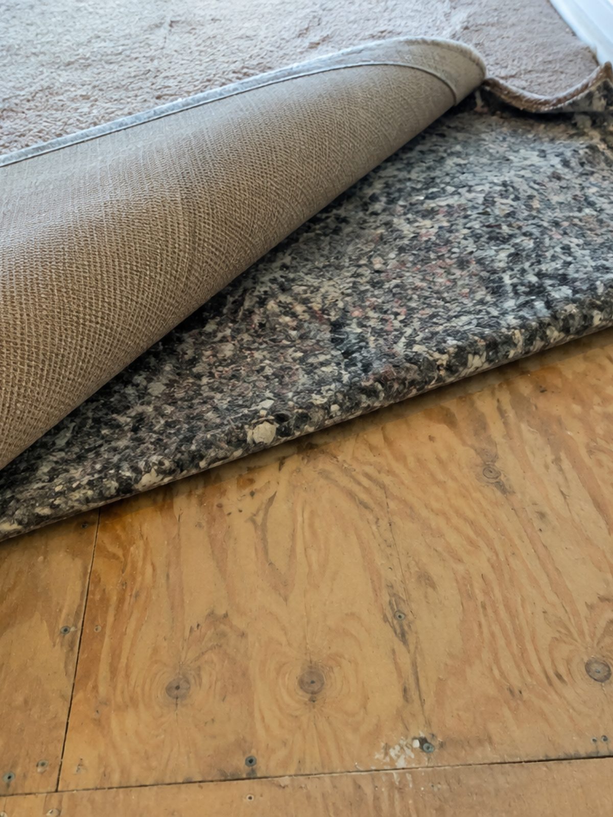Assessing the cause under lifted carpet