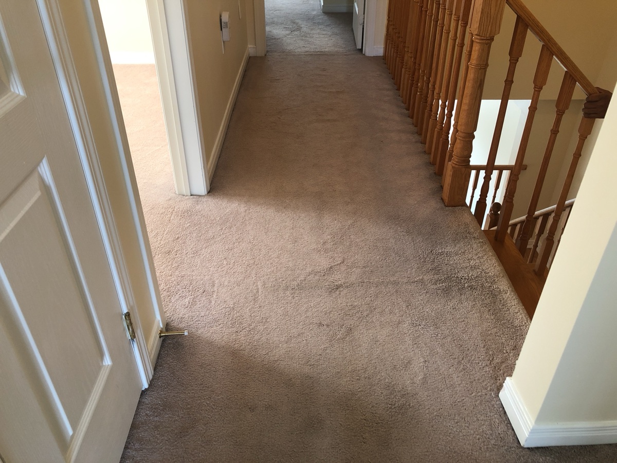 Real hallway carpet after re-stretching