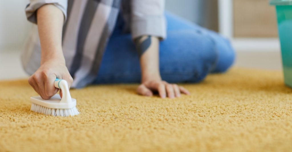 Carpet Cleaning For Dummies